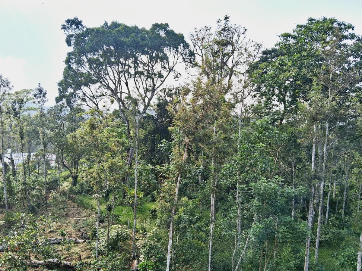 Coorg Teakwood Treasure Homestay Madikeri Exterior foto
