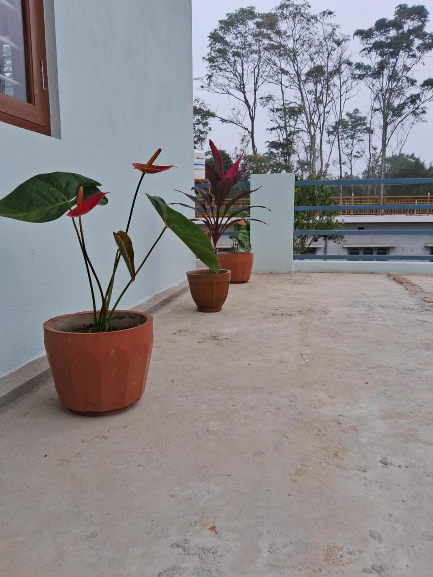 Coorg Teakwood Treasure Homestay Madikeri Exterior foto